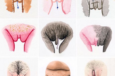 The Vulva Gallery – czyli Instagram o… cipkach. To konto ma pół miliona obserwujących – i chyba wiemy dlaczego