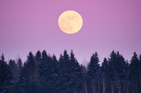 Listopadowa pełnia i zaćmienie Księżyca w jednym dniu! To wyjątkowe zjawisko wpłynie na nas wszystkich!