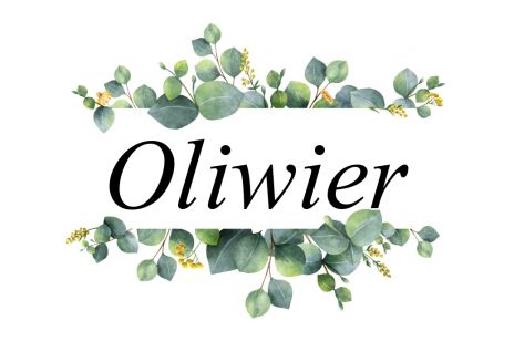 Imieniny Oliwiera – kiedy są? Znaczenie, pochodzenie, zdrobnienia imienia Oliwier