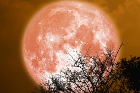Horoskop na zaćmienie Księżyca w Byku. "Krwawy Księżyc" wytrąci nas z równowagi