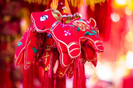 Chiński znak zodiaku Owca dla swojej połówki jest w stanie zrobić wszystko. To również oddany przyjaciel