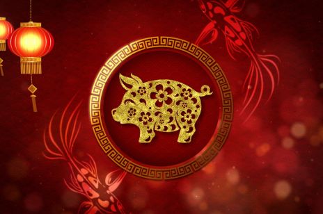 Chiński znak zodiaku Świnia to kochający spokój altruista. Horoskop chiński dla Świni