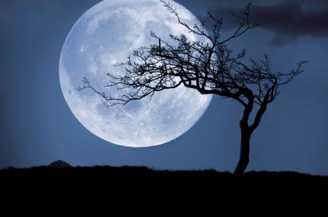 Pełnia Księżyca luty: "Śnieżny Księżyc" coraz bliżej na naszym niebie. Jak na nas wpłynie pełnia Księżyca w Lwie?