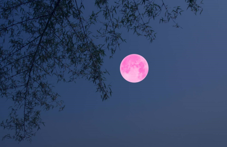 Pełnia Różowego Księżyca mocno wpłynie na 3 znaki zodiaku