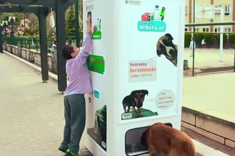 Stambuł: wymienisz butelki plastikowe na karmę dla psów