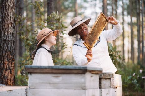 "Pszczoła w mieście": czy każde miejsce jest dobre dla pszczół?