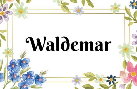 Imię Waldemar
