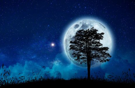 Pełnia księżyca listopad: kiedy wypada?