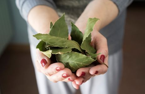 Oczyszczający rytuał z liściem laurowym uchroni cię od stresu. Zajmie ci tylko 5 minut