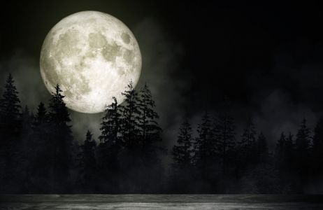 Niezwykłe odkrycie na Księżycu. Jego ciemna strona skrywa wiele tajemnic
