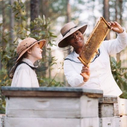 pszczola-w-miescie-czy-kazde-miejsce-jest-dobre-dla-pszczol