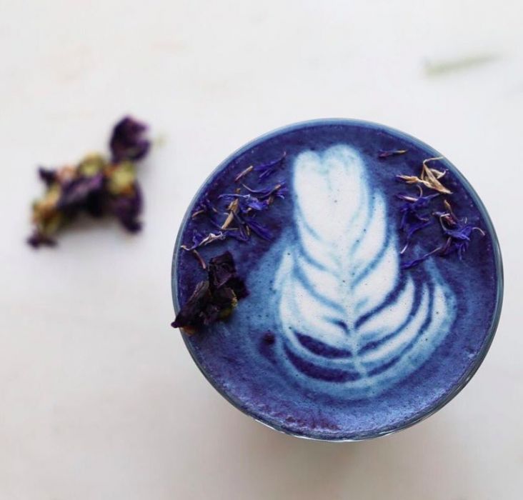 Blue matcha - niebieskie matcha latte