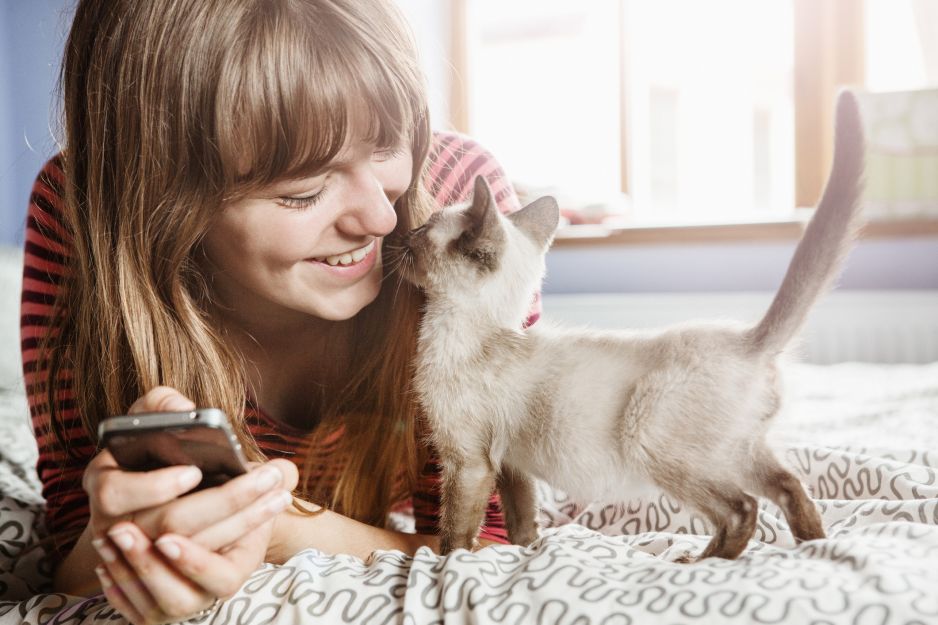TOP 5 aplikacji dla twojego kota na telefon: najlepsze gry które zainteresują twojego pupila