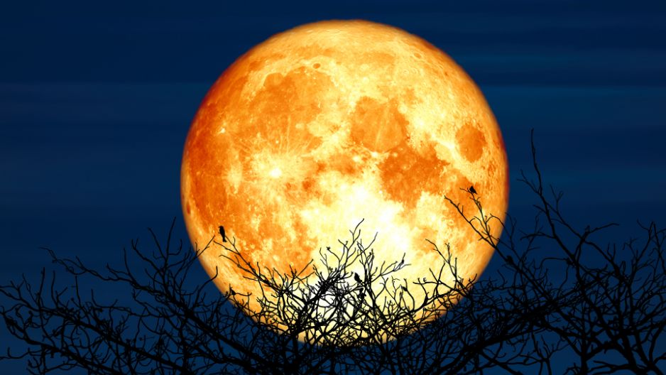 Horoskop na Pełnię Księżyca w Baranie. Jak "Krwawy Księżyc" wpłynie na ciebie?