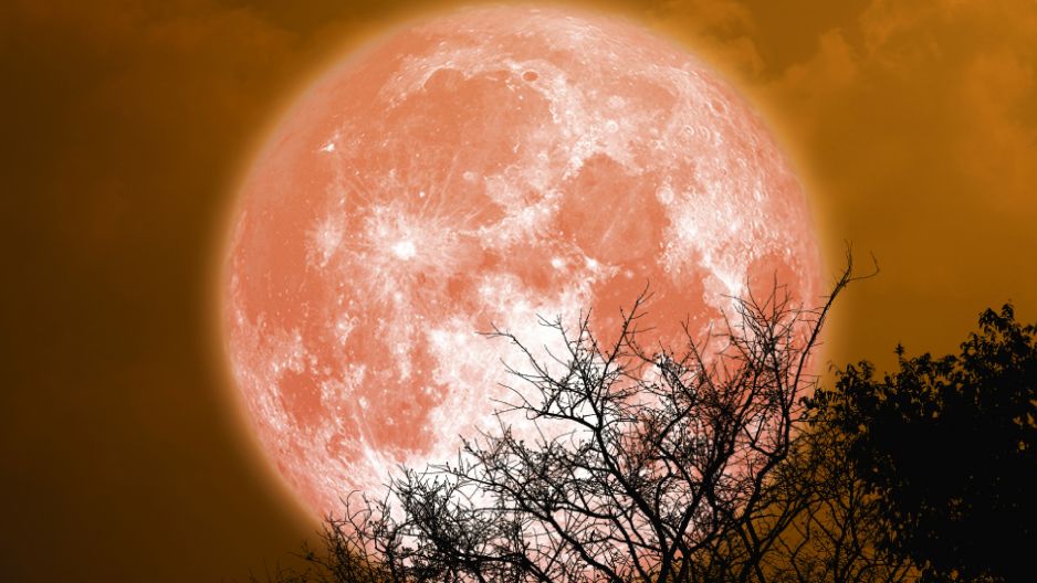 Horoskop na zaćmienie Księżyca w Byku 8 listopada 2022 roku. Co przyniesie nam Krwawy Księżyc