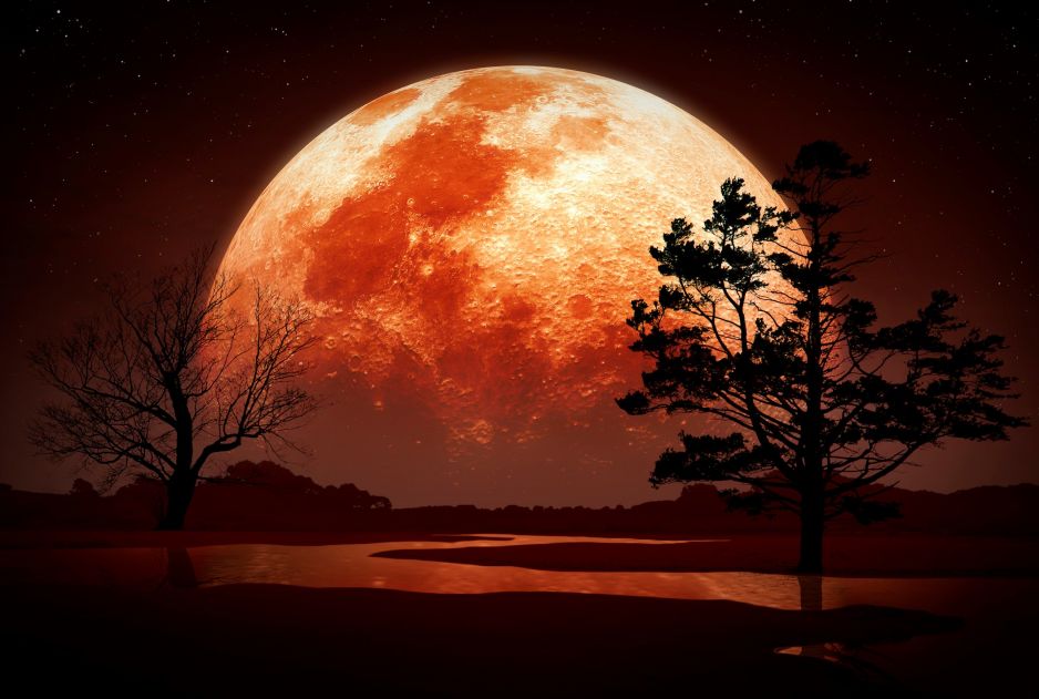 Zaćmienie księżyca listopad: kiedy na niebie pojawi się "Krwawy Księżyc"? [DATA]