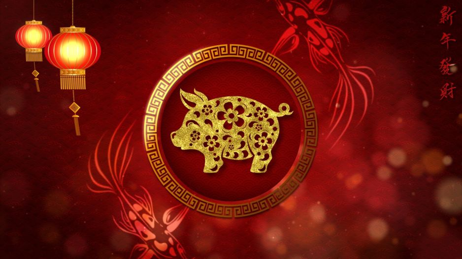 chiński znak zodiaku świnia