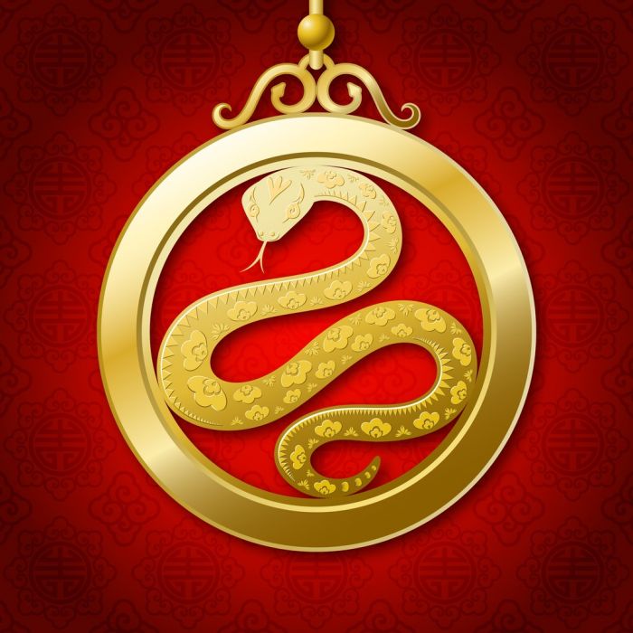 chiński znak zodiaku wąż