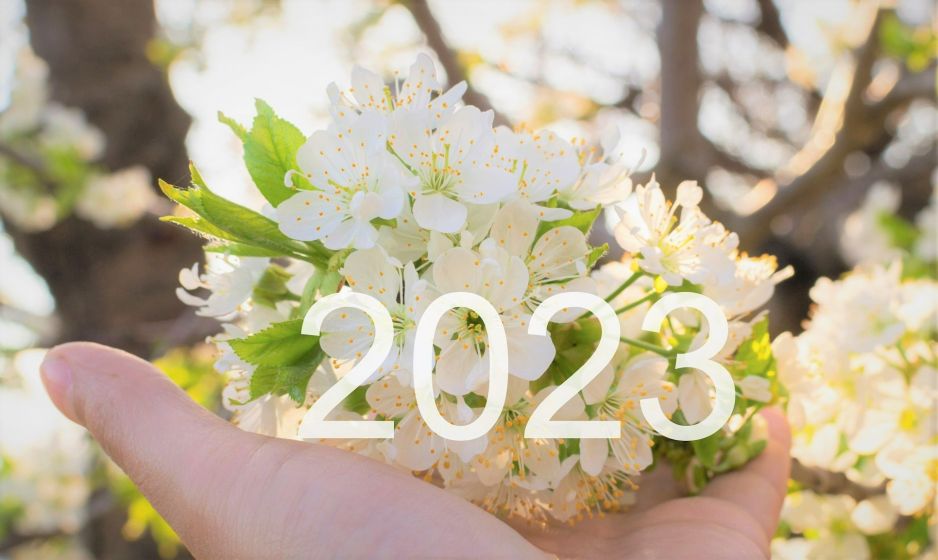 Numerologia na kwiecień 2023 roku. Nadchodzi miesiąc kontrastów i współpracy