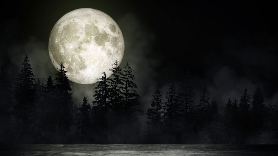 Niezwykłe odkrycie na Księżycu. Jego ciemna strona skrywa wiele tajemnic