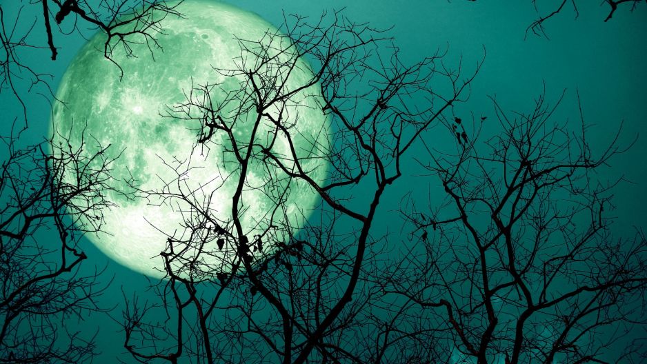 zielony księżyc
