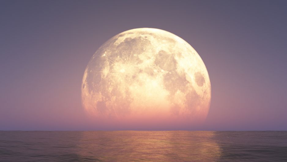 Horoskop na pełnię Księżyca w sierpniu 2023