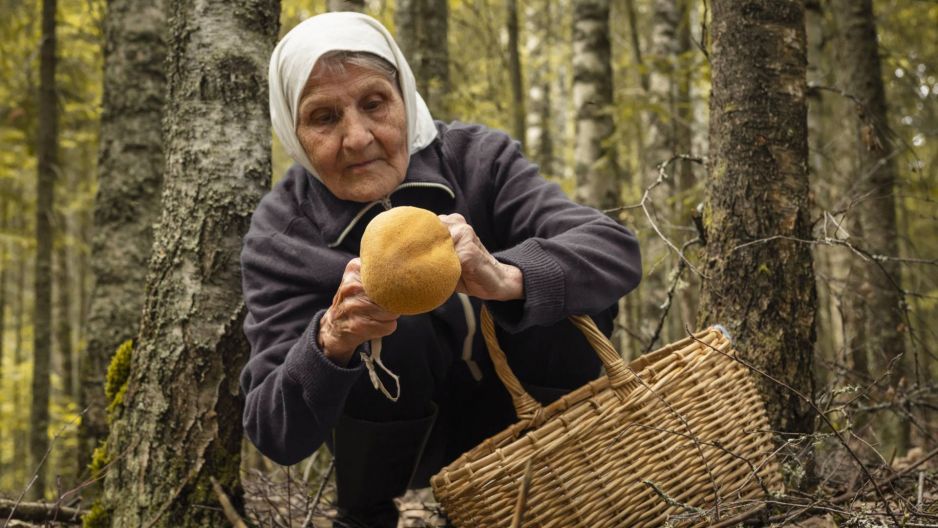 Babcia z Lubelszczyzny ostrzega nie wolno zbierać grzybów w pełnię księżyca. To grozi poważnymi konsekwencjami GettyImages Azovsky