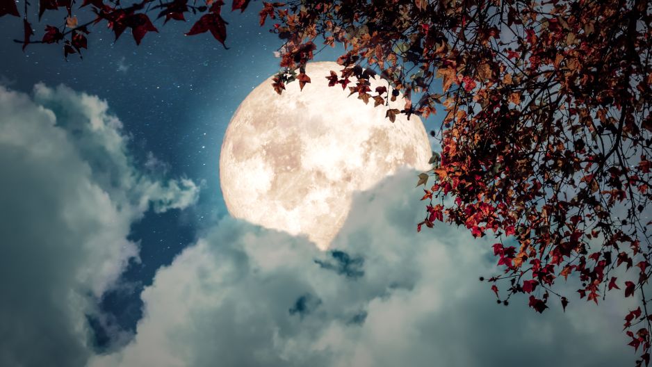 Horoskop na pełnię Księżyca w Byku 28 października 2023