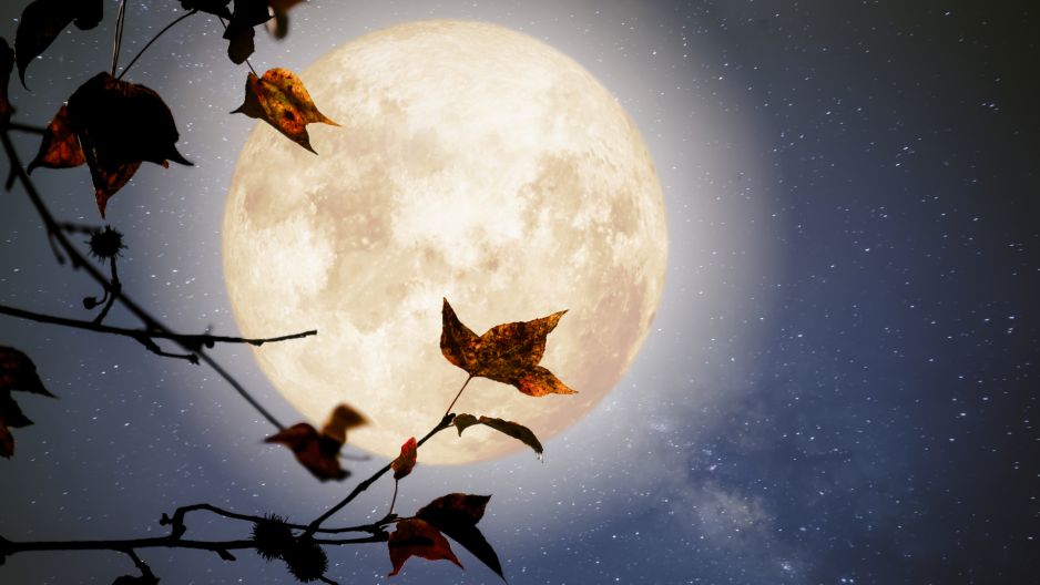Horoskop na pełnię Księżyca w Bliźniętach 27 listopada 2023