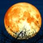 Horoskop na Pełnię Księżyca w Baranie. Jak "Krwawy Księżyc" wpłynie na ciebie?
