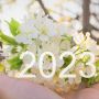 Numerologia na kwiecień 2023 roku. Nadchodzi miesiąc kontrastów i współpracy