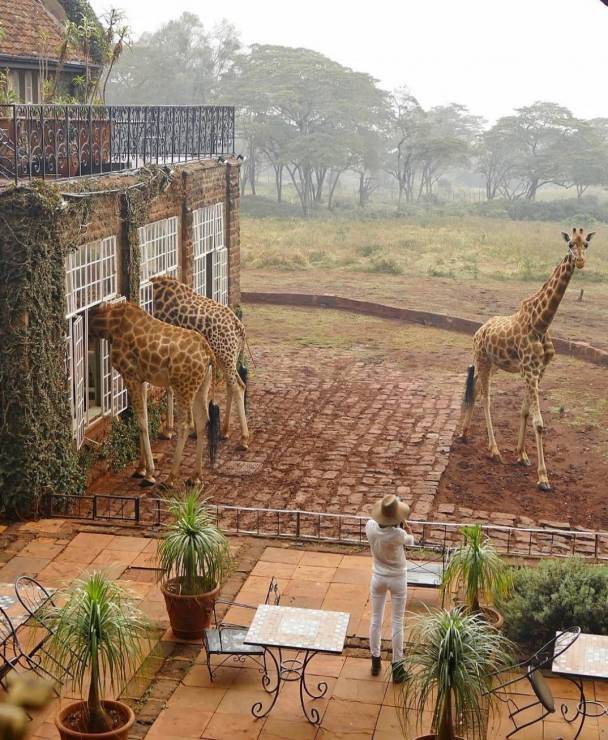 8. Giraffe Manor, Kenia
