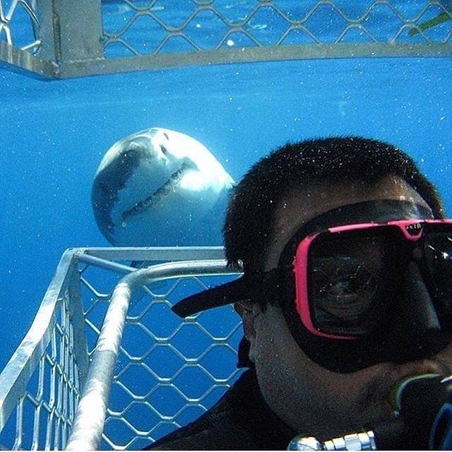 Ultimate Selfie