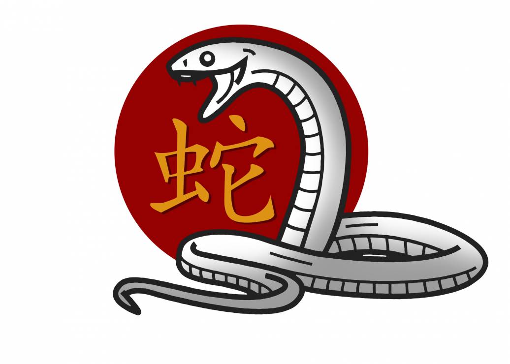 Horoskop chiński 2021: Wąż