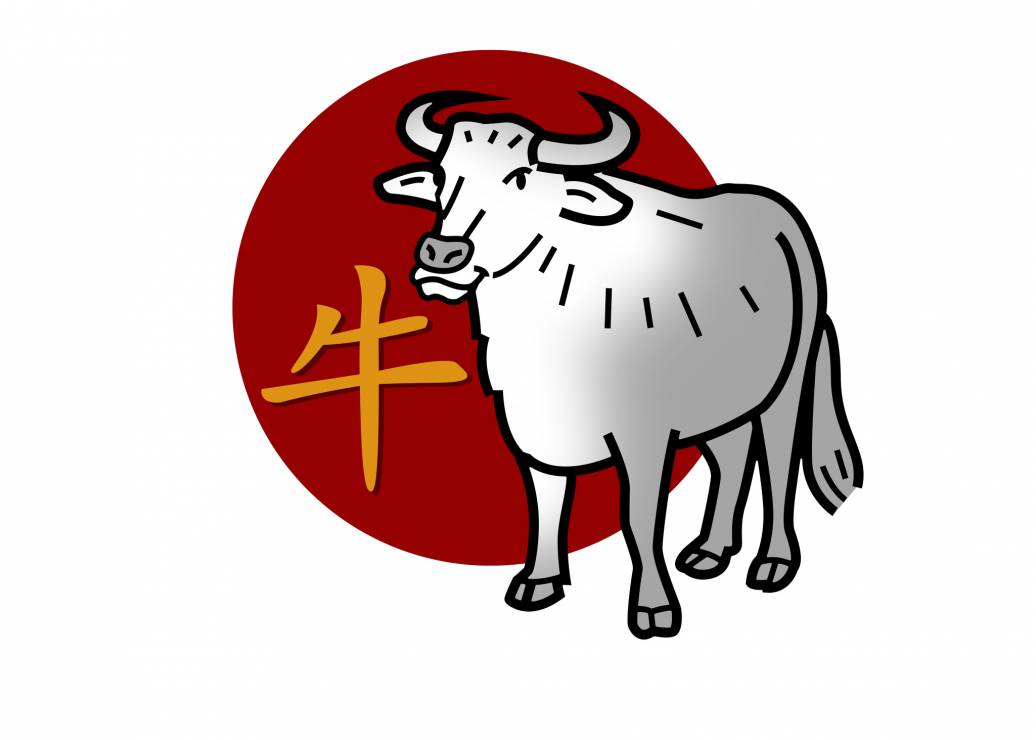 Horoskop chiński 2021: Wół