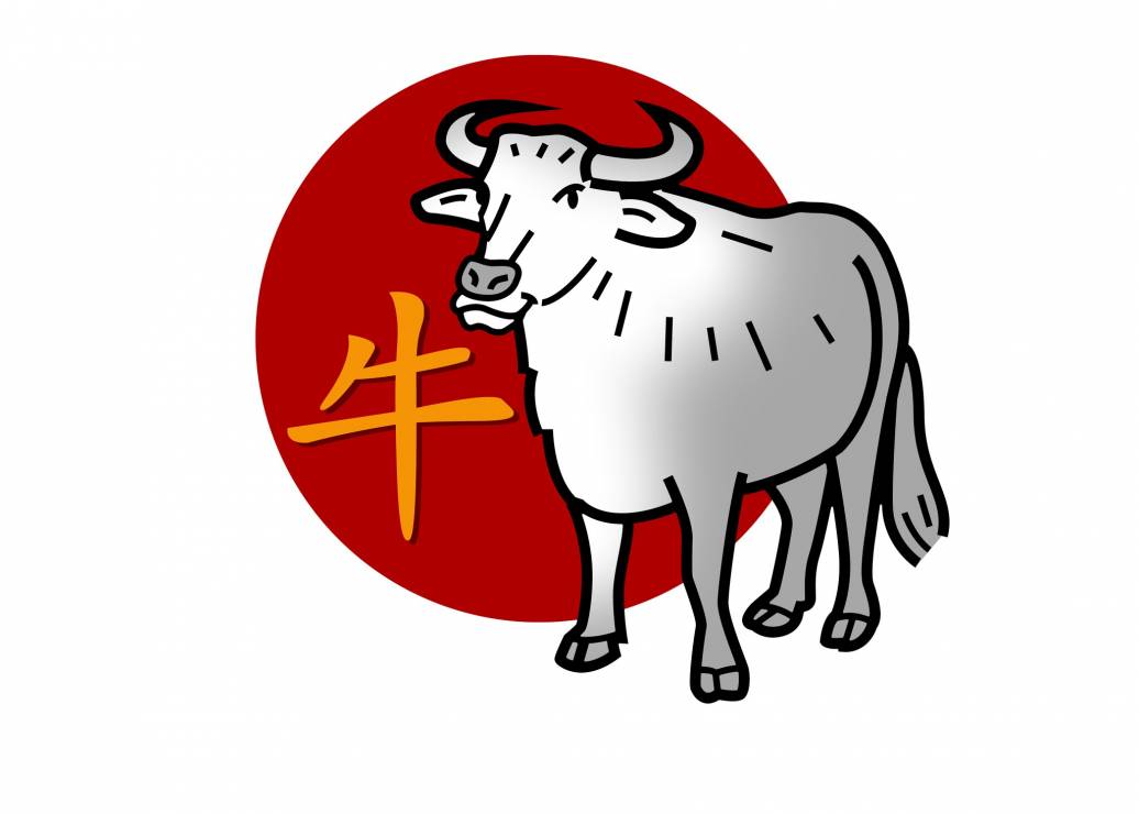 Horoskop chiński na 2022 rok - Bawół