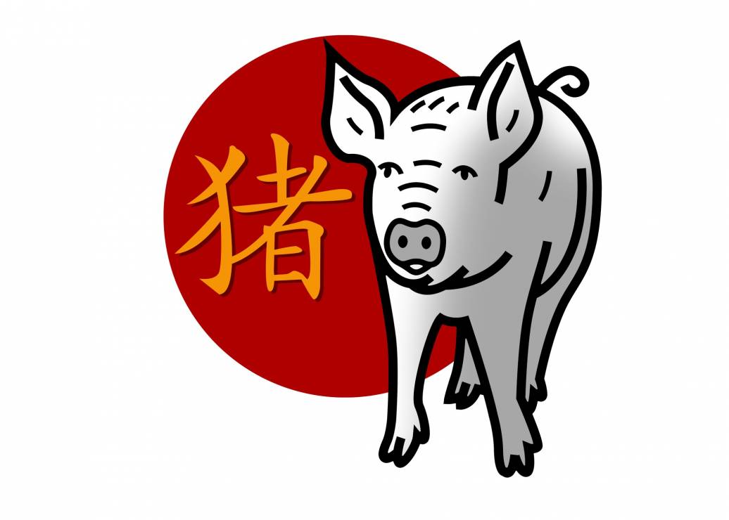 Horoskop chiński na 2022 rok - Świnia