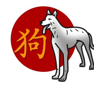 Chiński znak zodiaku: pies