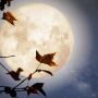 Horoskop na pełnię Księżyca w Bliźniętach 27 listopada 2023